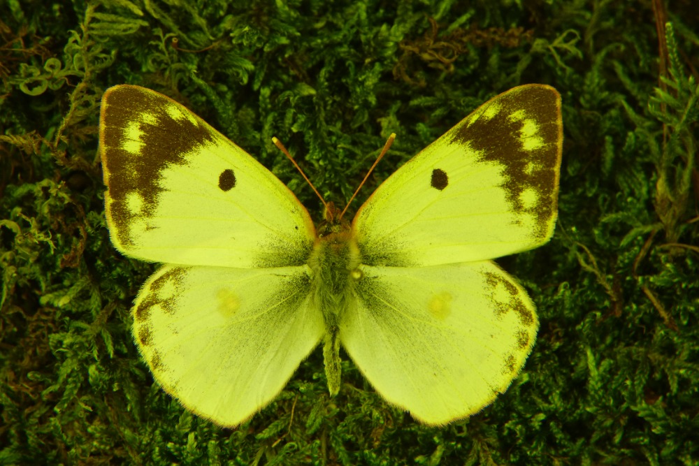 P1340840