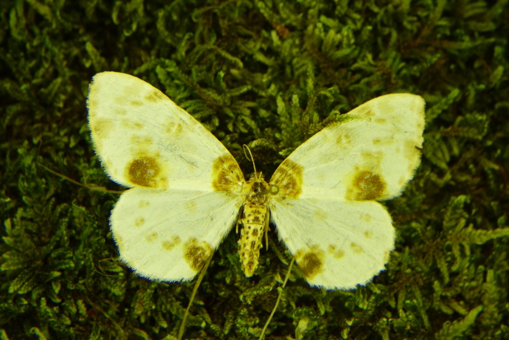 P1340841