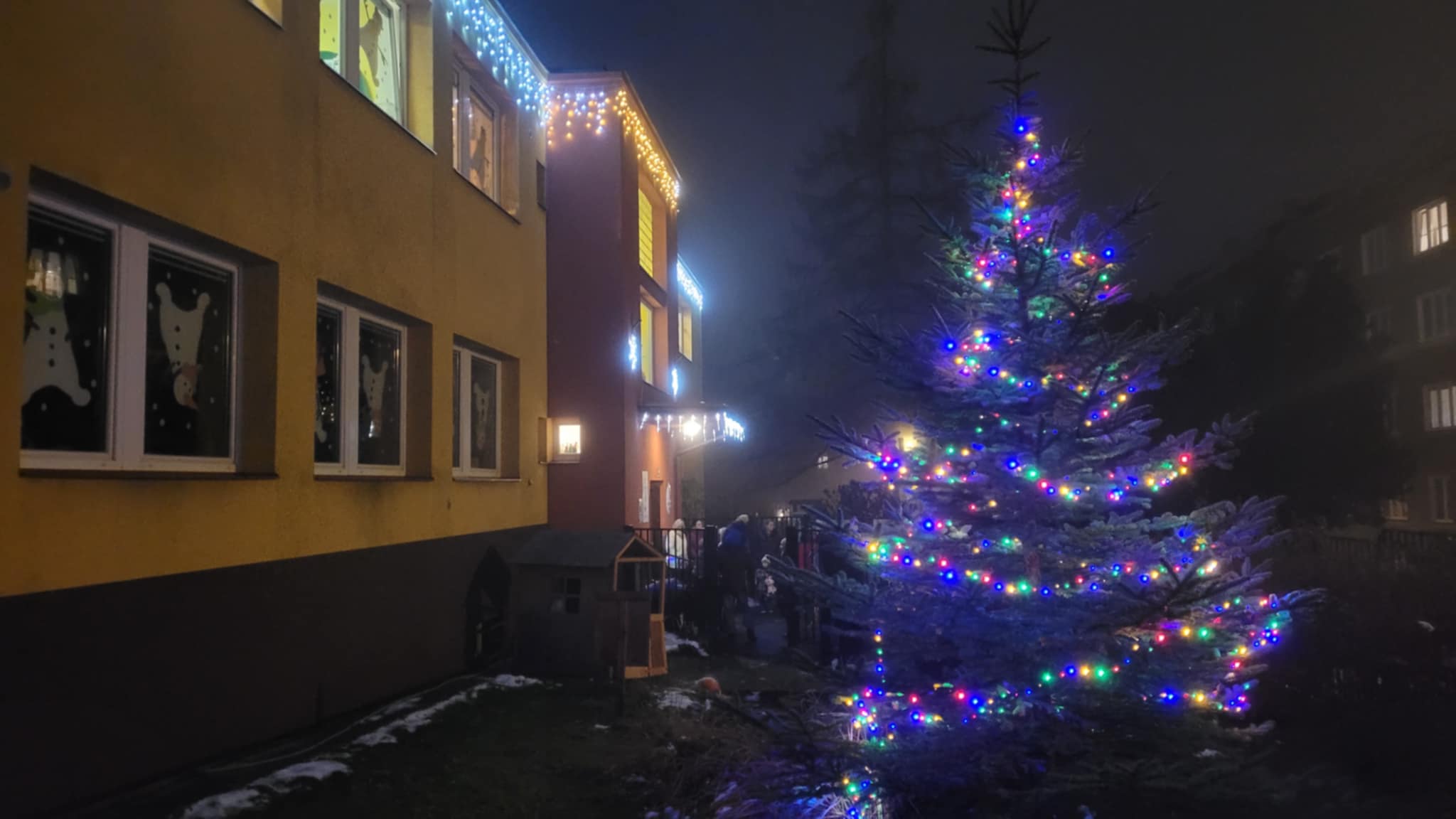 ROZSVÍCENÍ STROMEČKU (2)