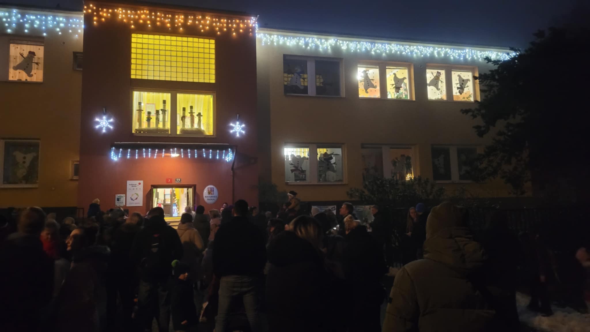 ROZSVÍCENÍ STROMEČKU (7)