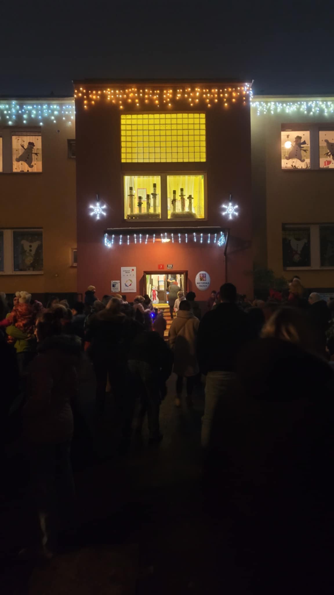 ROZSVÍCENÍ STROMEČKU (14)