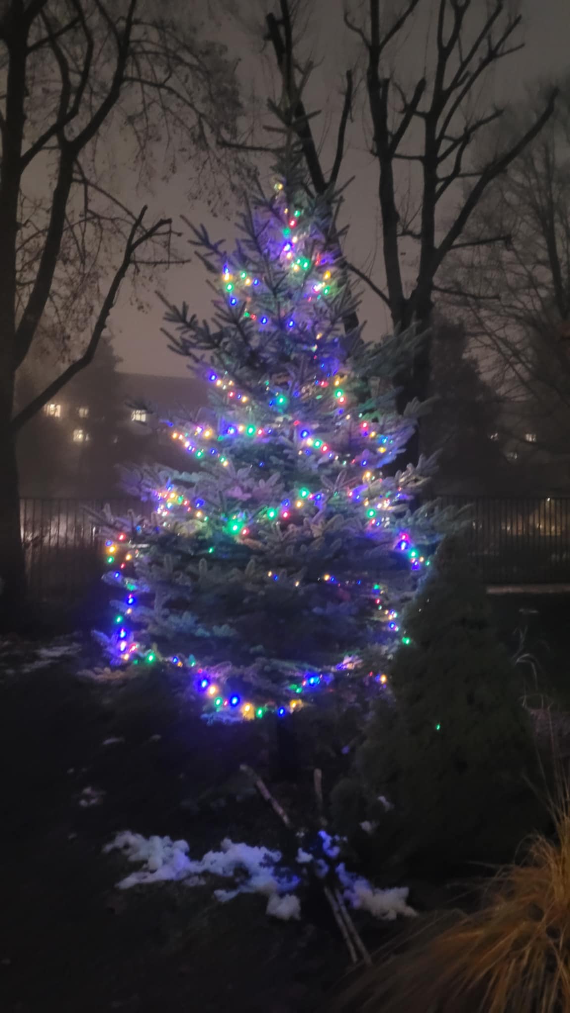 ROZSVÍCENÍ STROMEČKU (20)