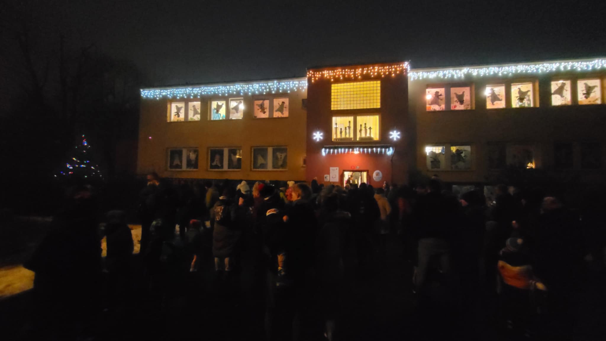 ROZSVÍCENÍ STROMEČKU (22)