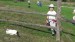 20180919_161625