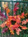 IMG-20251023-WA0019