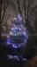 ROZSVÍCENÍ STROMEČKU (20)